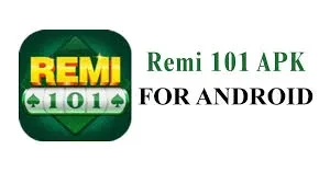 remi101