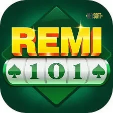 Logo remi101
